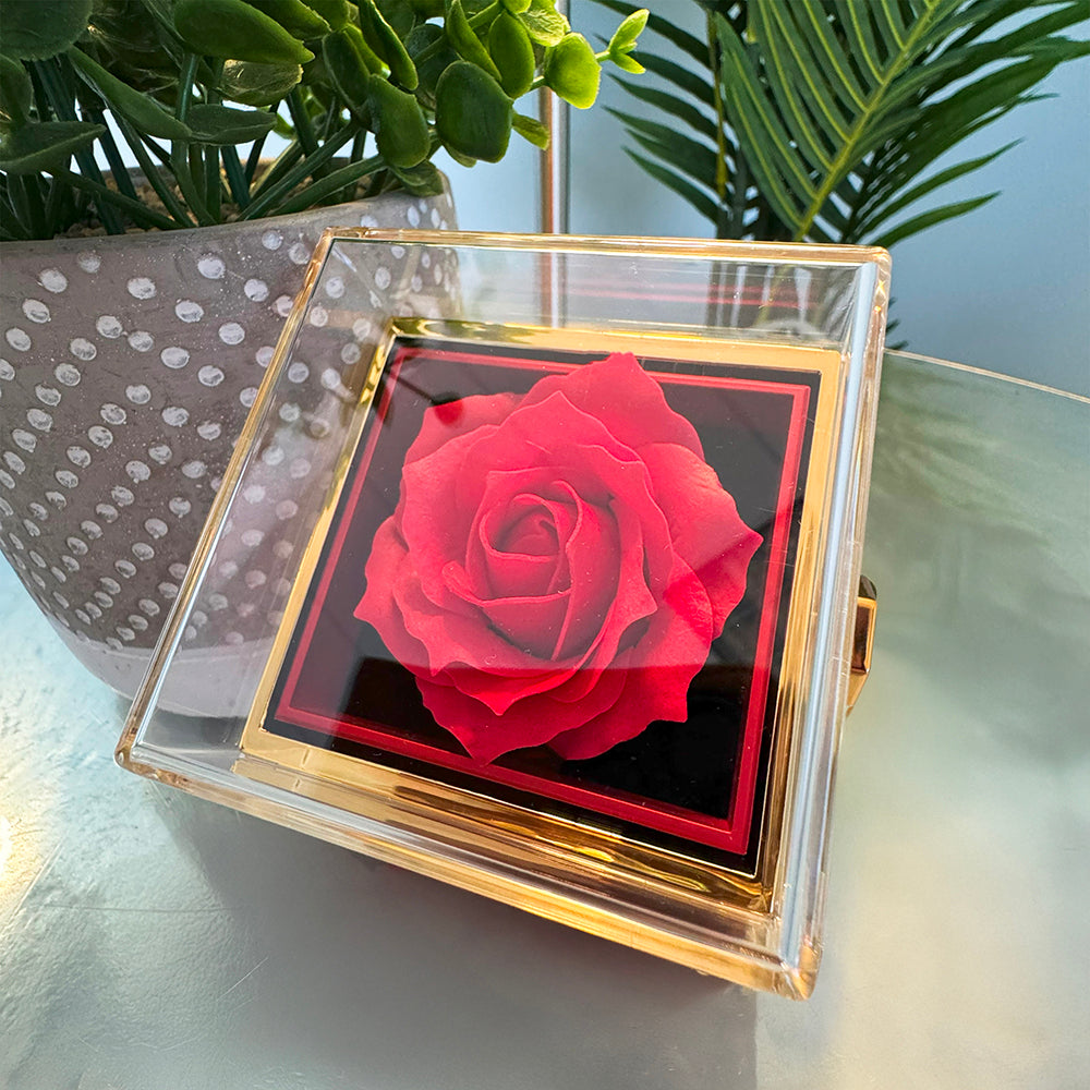 To My Wife, I Love You Always — Love Knot Necklace with Rotating Rose Box